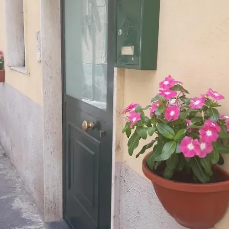 Nel Cuore
